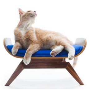 New Bent Plywood Cat Lounge Objetos de deseo para mascotas