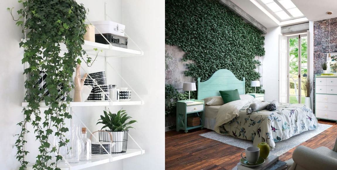 Motivos por los cuales debes decorar tu hogar con plantas