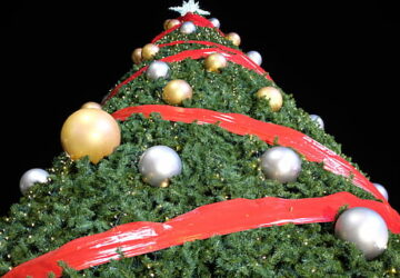 Elección del Árbol de Navidad