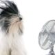 Consejos para refrescar tu casa y usar el ventilador