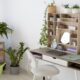 6 ideas para decorar con plantas de interior tu hogar