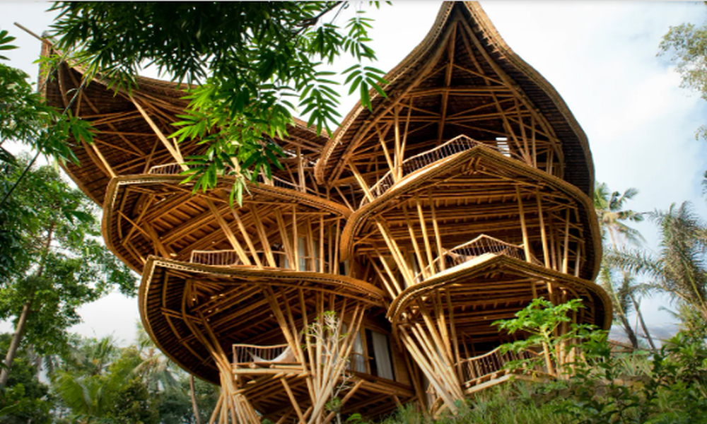 4 increíbles casas ubicadas en la espesa jungla