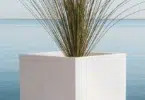 imagen propiedad de newgardenshop.es al que pertenecen todos los derechos.