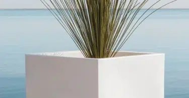 imagen propiedad de newgardenshop.es al que pertenecen todos los derechos.