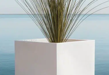 imagen propiedad de newgardenshop.es al que pertenecen todos los derechos.